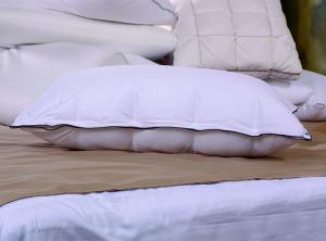 5001-1_蚕丝纤维枕